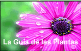 Pagina de Inicio