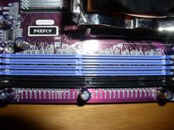 ram