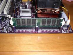 ram